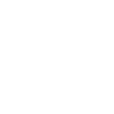 Pocket Network - active logo