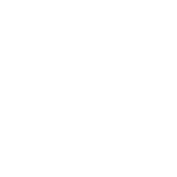 Polygon - active logo