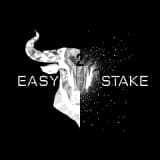 Easy 2 stake - active logo