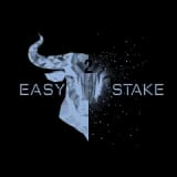 Easy 2 stake - logo