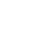 Solidant - active logo