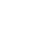 École Polytechnique - active logo