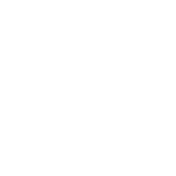Pocket Network - active logo