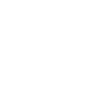 PayTop - active logo