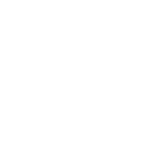 Mechanism Capital - active logo