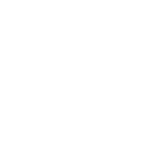 White Star - active logo