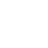 Polygon - active logo