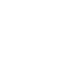 Solidant - active logo