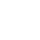 dOrg - active logo