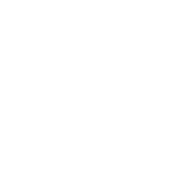 BR Capital - active logo