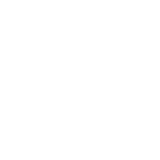 Zee Prime - active logo